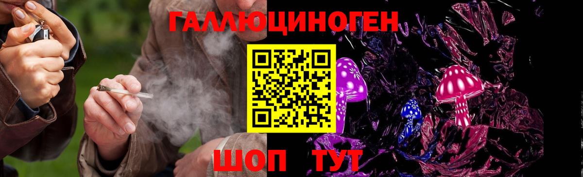 Галлюциногенные грибы Cubensis  Вход с VPN  Галлюциногенные грибы GOLDEN TEACHER  Белово 
